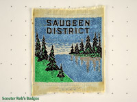 Saugeen District [ON S02b]